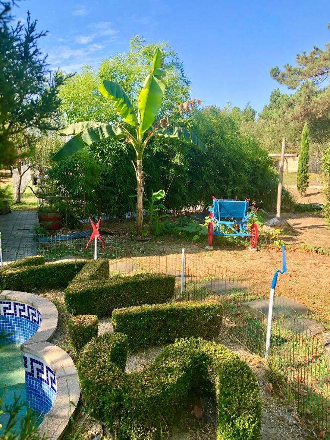 塞洛里库迪巴什图Casa Da Quinta Da Prelada Simao别墅 外观 照片