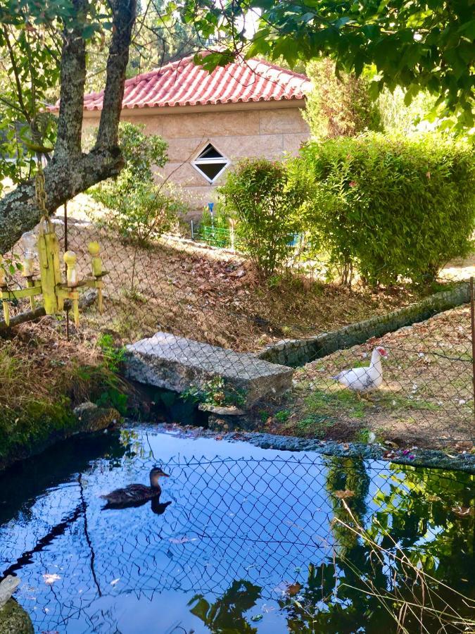 塞洛里库迪巴什图Casa Da Quinta Da Prelada Simao别墅 外观 照片