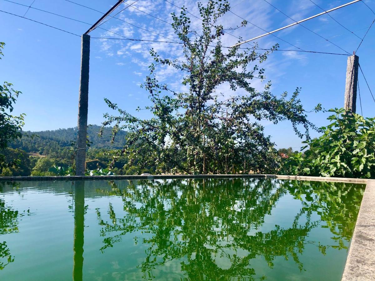 塞洛里库迪巴什图Casa Da Quinta Da Prelada Simao别墅 外观 照片