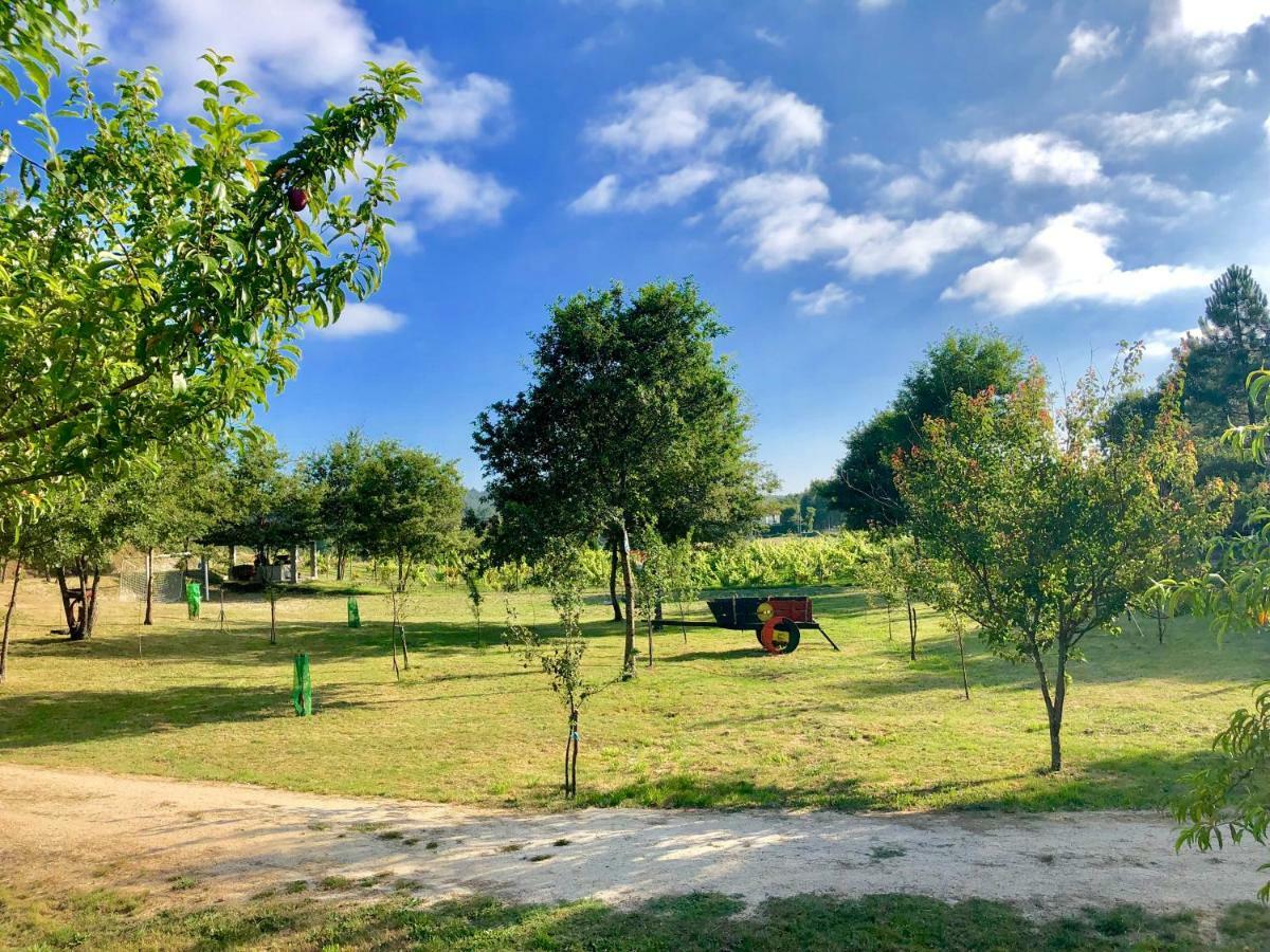 塞洛里库迪巴什图Casa Da Quinta Da Prelada Simao别墅 外观 照片