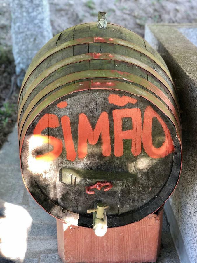 塞洛里库迪巴什图Casa Da Quinta Da Prelada Simao别墅 外观 照片