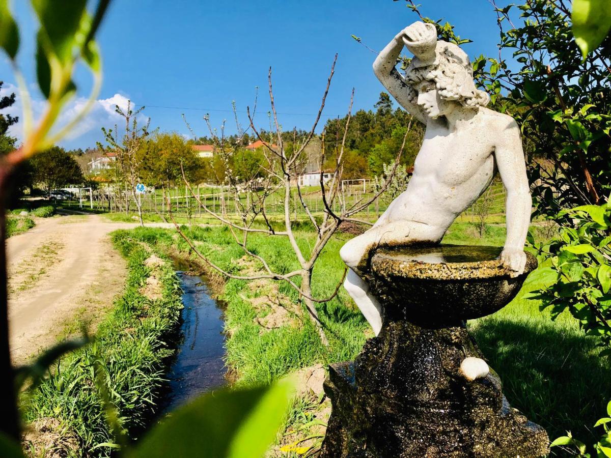塞洛里库迪巴什图Casa Da Quinta Da Prelada Simao别墅 外观 照片