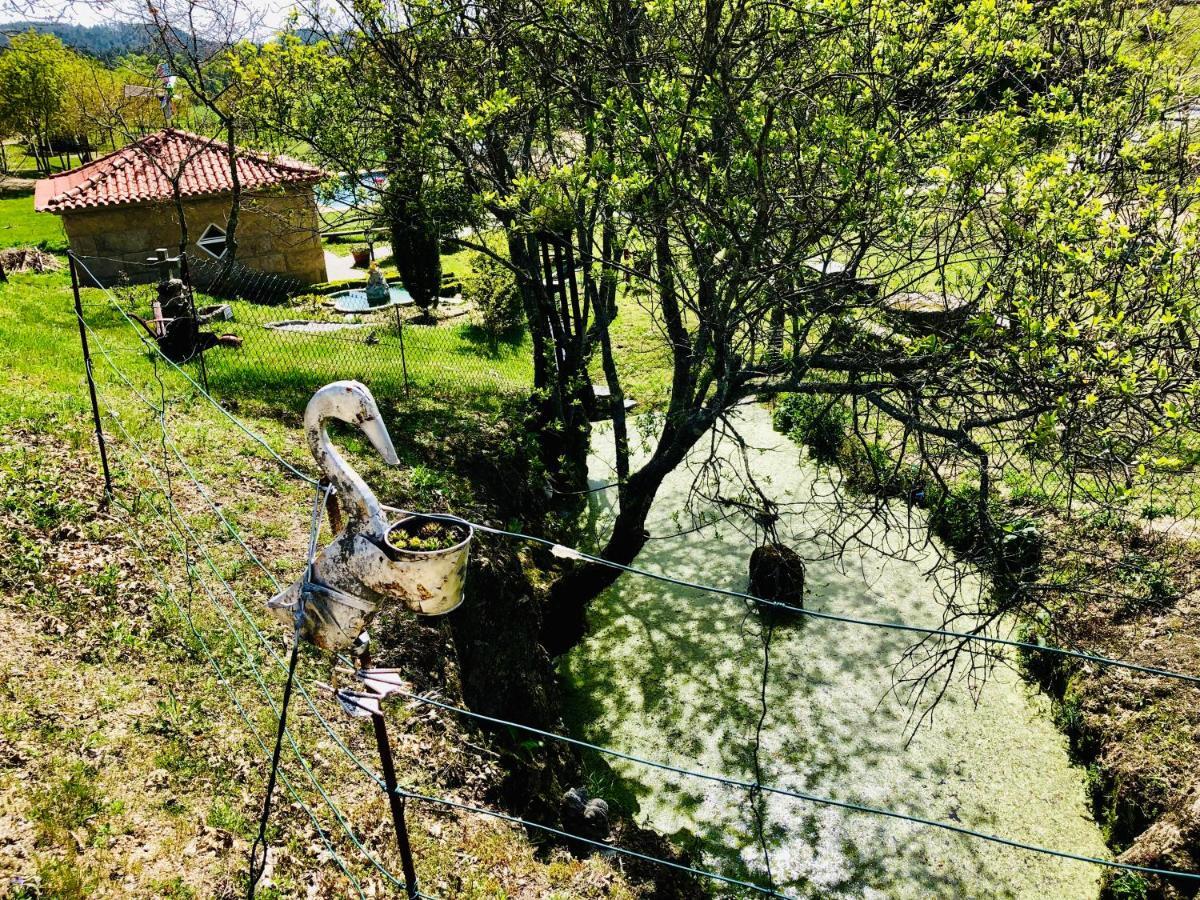 塞洛里库迪巴什图Casa Da Quinta Da Prelada Simao别墅 外观 照片