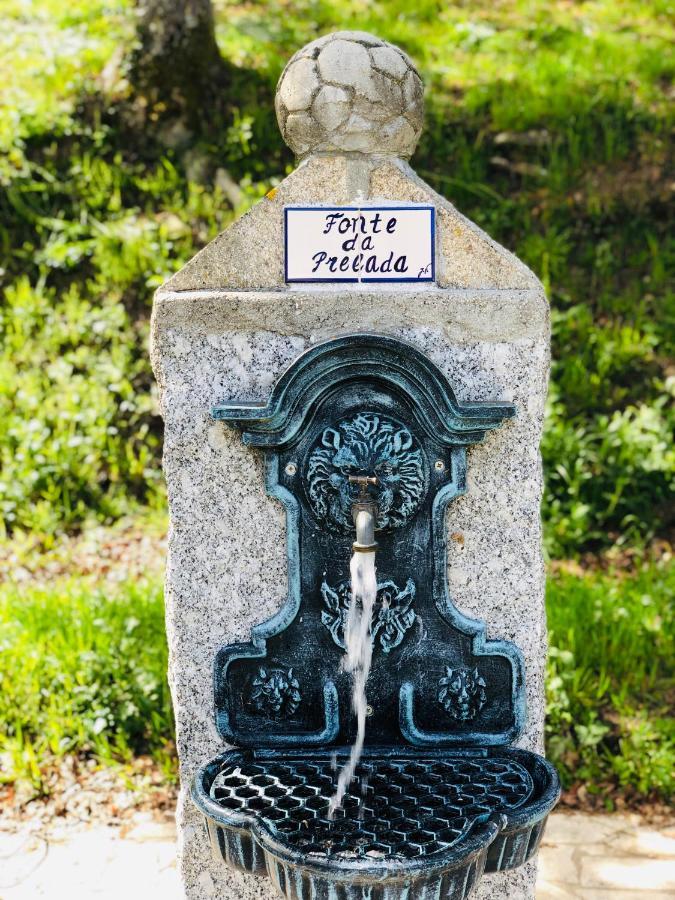 塞洛里库迪巴什图Casa Da Quinta Da Prelada Simao别墅 外观 照片