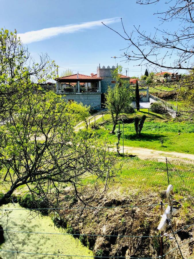 塞洛里库迪巴什图Casa Da Quinta Da Prelada Simao别墅 外观 照片